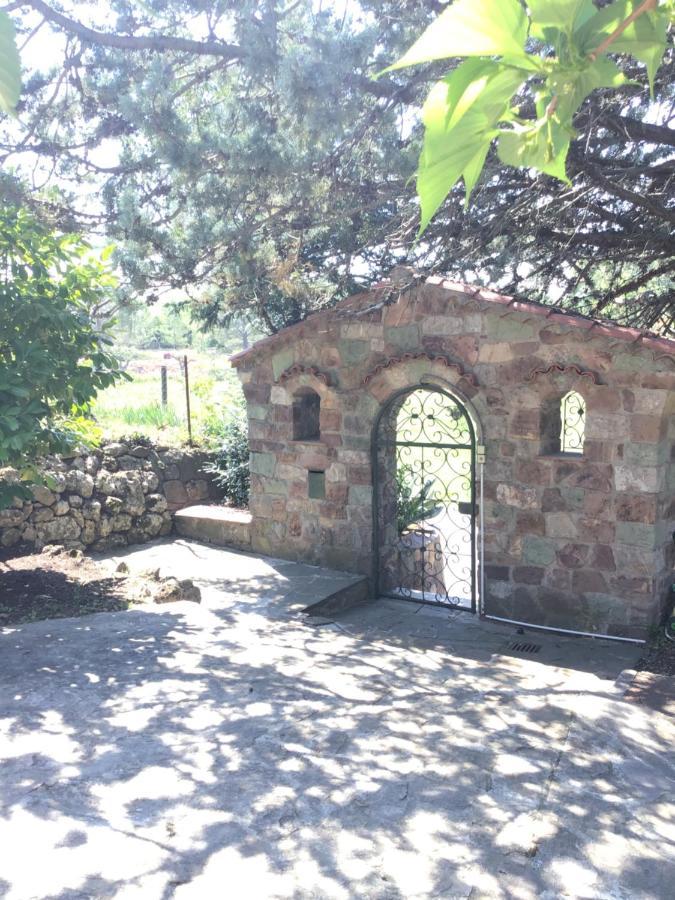 Villa San Marco Chambre D Hotes Лорг Екстериор снимка